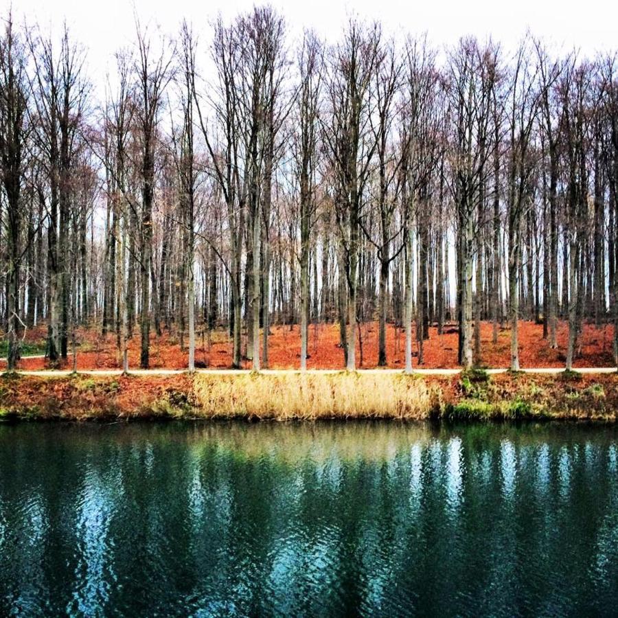 African Heritage Tervuren Exteriér fotografie